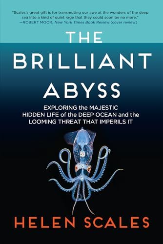 The Deep: The Extraordinary Creatures of the Abyss: Nouvian